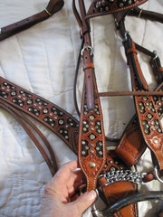 Bar H Equine crystal bling Tack Set Bridle, Breast Collar, bit &split reins