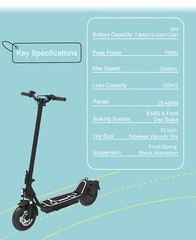 DRIVETRON ELECTRIC SCOOTER – DT01 Max Speed 19M/H Range ~30 miles, DISC BRAKE