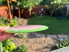 Star Halo Destroyer Disc Golf Innova Swirly OOP 176 Limited (Free Returns) #1501