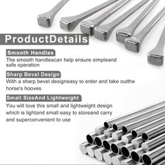 250pcs Horseshoe Horse shoes Stain Stainless 2.1» Nails E3 E5 E6