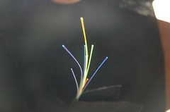 FIBER OPTICS, .25mm BLUE 1 FOOT VIBRANT COLOR TOUGH 4 DAYS