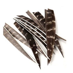 Archery Turkey Feather Right Wing 5in Barred Fletches Hunting Arrows Art Craft