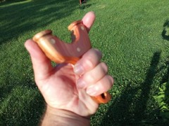 Cedar/ oak slingshot & cedar/ skateboard wood sling shot 90mm