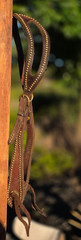 One Ear Slot Headstall Dark Oil with Brass Dots, Buckles and Conchos