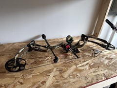 Bear Specialist Compound Bow, B Stinger stabilizer & Trophy R sight (DL 29) RH