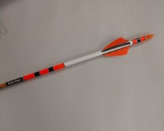(6) Black Eagle – Vintage – 19/64″ Diameter – 400 Spine – Carbon Arrows