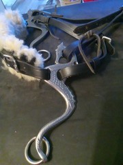 Used dragon Mechanical Hackamore