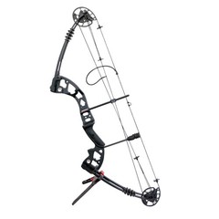 30-55lbs Compound Bow Archery 310FPS Pulley Bow Arrow Set RH Hunting Shooting