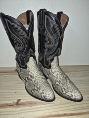 Dan Post python boot