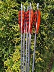 Gold Tip Warrior Carbon Arrows. 700, 600, 500, 400, 340, or 340. 6 Pack.