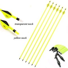 12Pcs 30 Inch Archery Carbon Arrows OD 7.8mm Archery for Compound/Recurve Bow