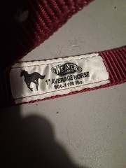 Weaver, Maroon Nylon Halter, Regular Horse, 800lb-1100lb