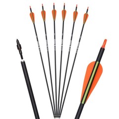 Carbon Arrow Hunting Arrows with 100 Grain Removable Tips 3 inch Streamlined …