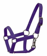 BLACK GREEN PINK PURPLE RED Nylon Adj Halter w Clip MINI Horse or PONY 5946