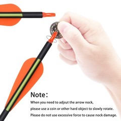 Carbon Arrow Hunting Arrows with 100 Grain Tip and Removable Tips for Archery…