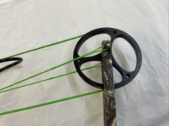 PSE BRUTE NP COMPOUND BOW RH 29DL 70DW