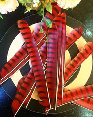 7-9in Full Length Turkey Feathers Cut Fletches Archery Hunting Flu Flu Arrows
