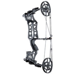 GQT 40-70lbs Compound Bow Archery Steel Ball Dual-use Fishing Hunting RH LH