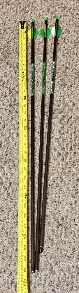 3- Allen Kryptos 50-70Lbs 2-31″/ 1-29″ W/Screw-in Tips & Fletching