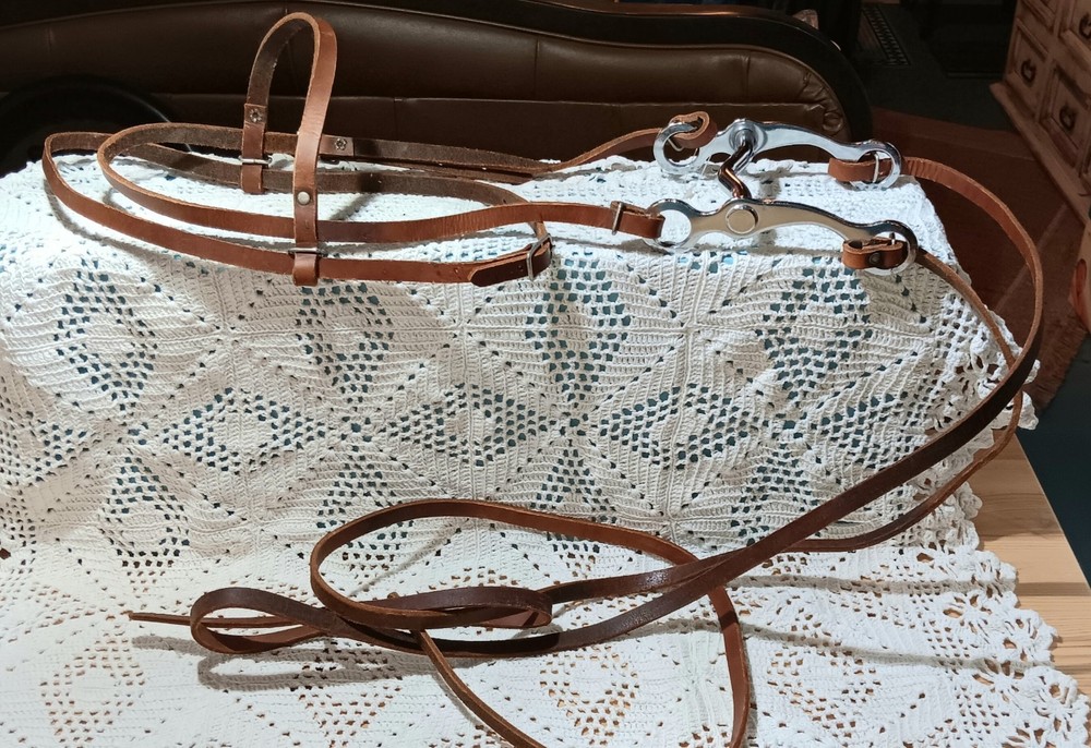 New Leather Horse Bridle Wih Bit Used For Decor Purposes Unknown Type