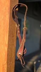 One Ear Slot Headstall Dark Oil with Brass Dots, Buckles and Conchos