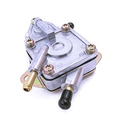 Fuel Pump Assy for Linhai Bighorn 260 Buyang 300cc D300 JCL Manco Talon 260cc
