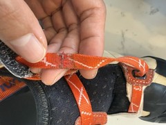 La Sportiva Solution Women 39EU Lightly Used Climbing Shoes