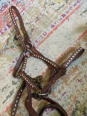 Vintage Buckstitched Leather Halter & Matching Lead FREE SHIPPING