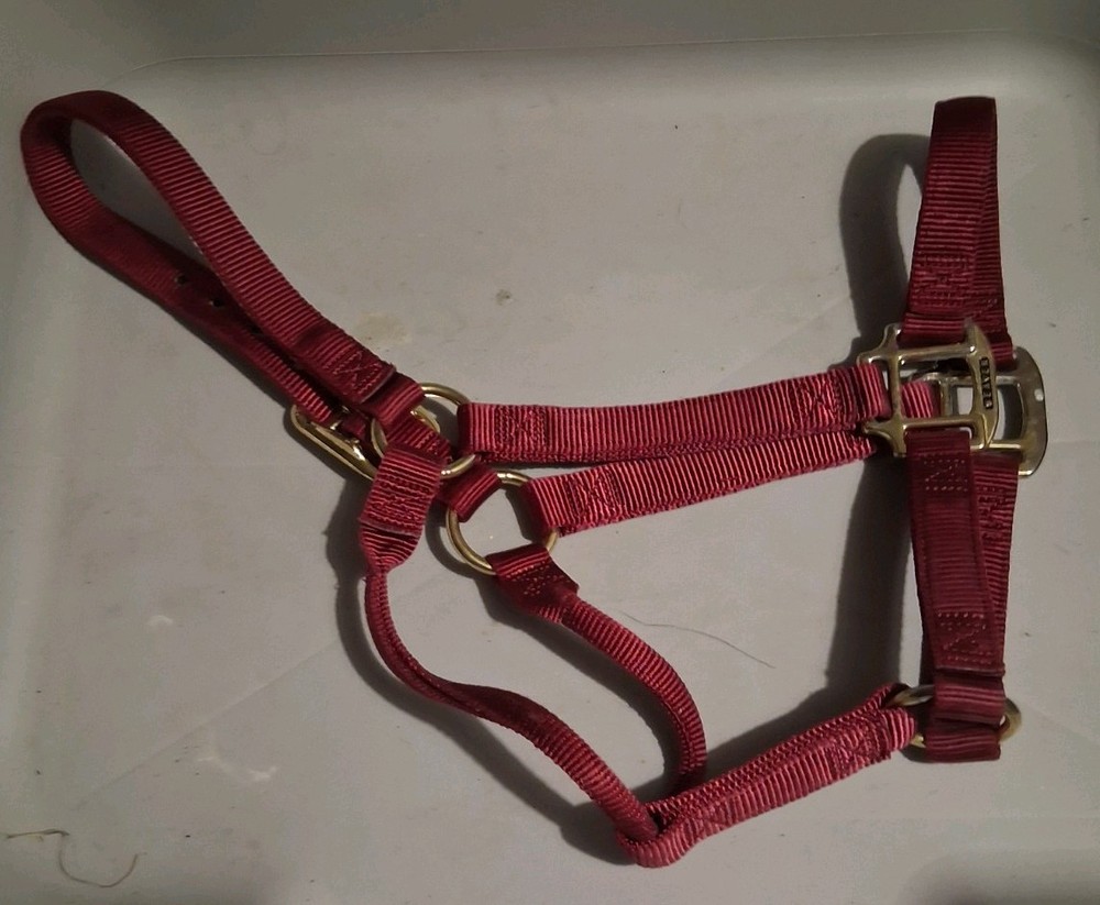 Weaver, Maroon Nylon Halter, Regular Horse, 800lb-1100lb