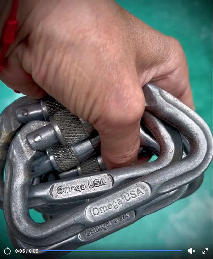 OMEGA USA D Carabiner Screw-Lock Aluminum kN 31/9/9 CE0082 Climbing Clip LOCKING