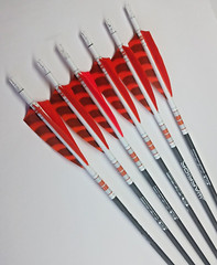 Goldtip warriors arrows for Traditional archery