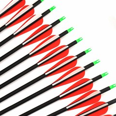 12Pack 30-inch Carbon Arrows SP500 Archery Hunting For Compound&Recurve Bow