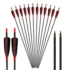 Carbon Arrows 30-In 400 Spine 4-In Feather Fletching 100 Grain Points 12 Pack