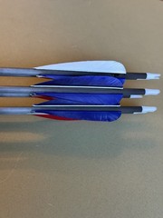 Gold Tip Warrior 500 Arrows, Set Of 6 With Arrow Tube Red Blue Carbon