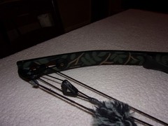 Martin Cougar Magnum Left Hand Compound Bow
