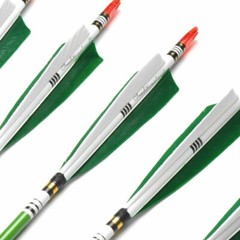 12Pcs 33inch Carbon Hunting Arrows Archery Target Arrows with 5″ Turkey Feathers