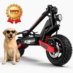 Off-road Electric Scooter for Adults 1200W 30MPH 25Miles 11»Commuter Escooter