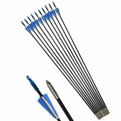 30/40LBS Archery Fiberglass Arrows Practice Target 31″ Bow Shoot Hunt archery