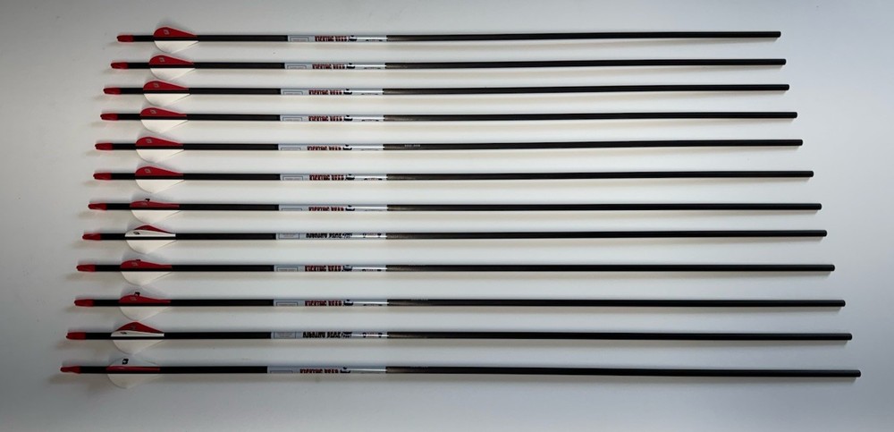New Bloodsport Kicking Bear Youth Carbon Arrows 500 Spine 31 Inches Pack of 12