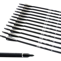 TIGER ARCHERY 30Inch Carbon Arrow Practice Hunting Arrows with Removable Tips…