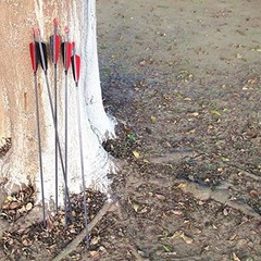 Carbon Arrows 30-In 400 Spine 4-In Feather Fletching 100 Grain Points 12 Pack