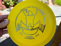 2001 DX Eagle 169G OOP Disc Golf Innova Virginia States (Bald Eagle) Rare #3832