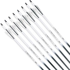 Compound & Recurve Bow Arrows, 12-Pk
