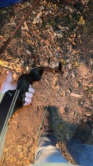 Takedown Recurve Bow RH 62” 60lb @28”