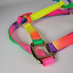Formay brand rainbow-colored nylon horse halter designed 1200-1500 Lbs