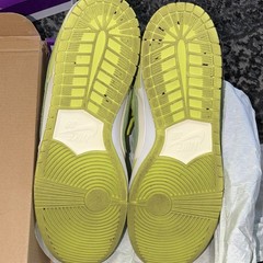 Nike SB Dunk Low Pro GREEN APPLE Skateboarding Shoes US 15