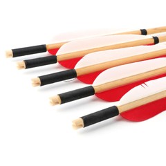 6/12pcs Wooden Arrows Turkey Feathers Diameter 8mm Handmade DIY Bow Hunting