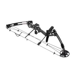 Black Compound Bow Kit with 12 Arrows Right Hand Archery Hunting Set 30-55lbs US