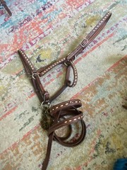 Vintage Buckstitched Leather Halter & Matching Lead FREE SHIPPING