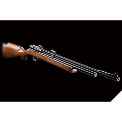 PR900W G2 PCP .22 5.5mm Caliber Air Rifle w/ German Beech Stock 800fps